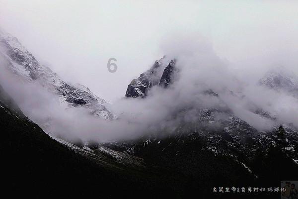 拯救树精灵