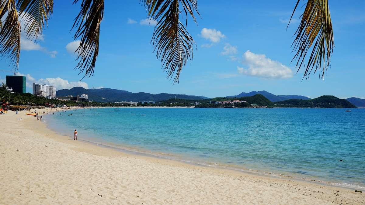 勒伯夫:若本泽马有在皇马时的劲头,我会劝他加盟蓝军